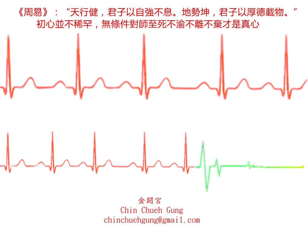 Heartbeat ECG. Volumetric concept. Vector