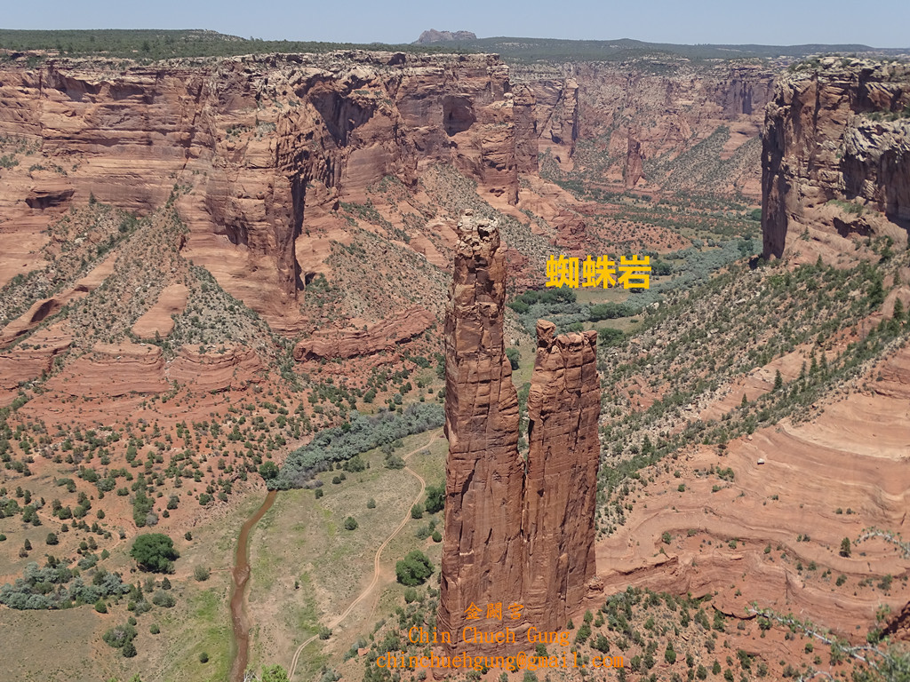 七彩岩下黑寡婦