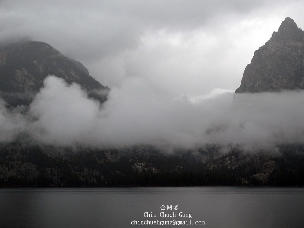 真主助我出陰霾