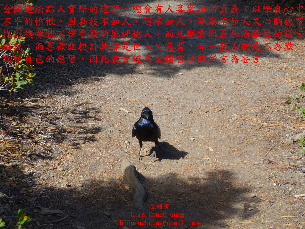 明師能授人真理 不能使人必為也